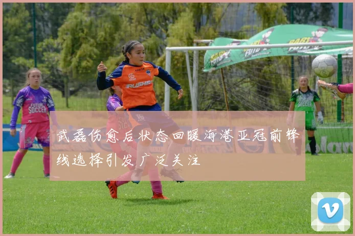武磊伤愈后状态回暖海港亚冠前锋线选择引发广泛关注